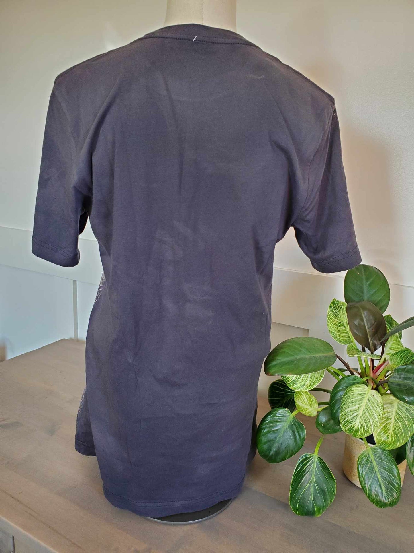 Wild West Long Live Cowboys