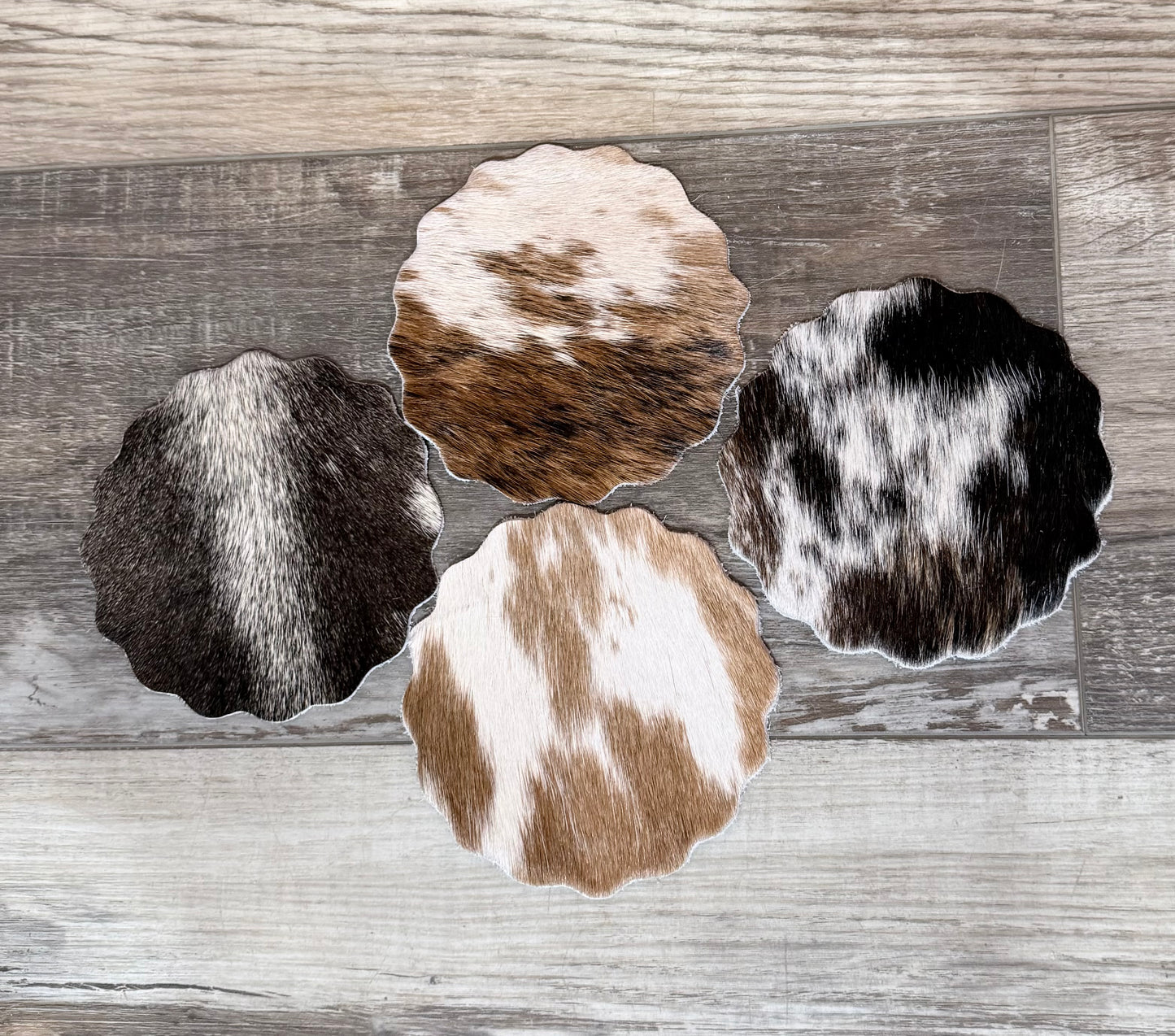 Scalloped Hair on Hide Coasters